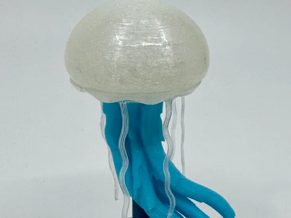 https://makerworld.bblmw.com/makerworld/model/US2e3cc25e7433e0/design/2025-03-13_7e71baf36daf.jpeg