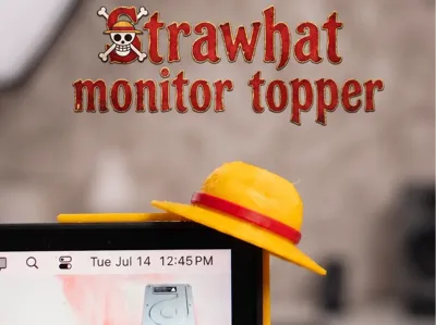 ONE PIECE Monitor buddy