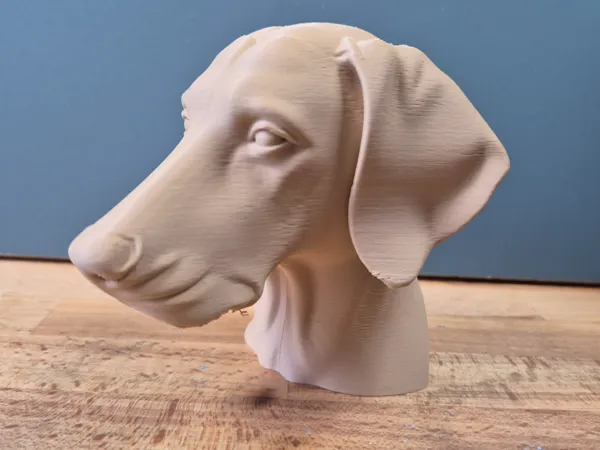 https://makerworld.bblmw.com/makerworld/model/US2e46e15c89628a/design/2025-05-14_dde7b25898a628.jpg