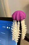 0.16mm layer, 2 walls, 15% infill