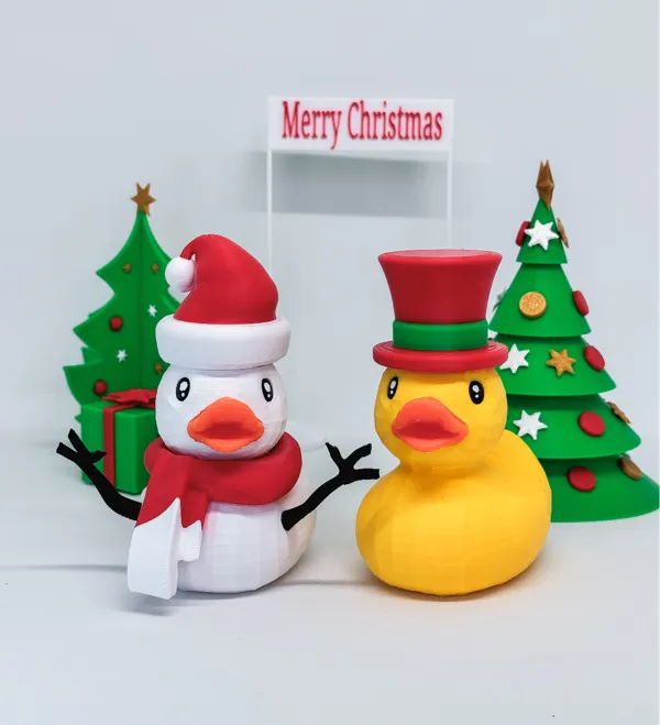 https://makerworld.bblmw.com/makerworld/model/US2e4f12db080250/design/2024-10-25_1cd135c929069.jpg