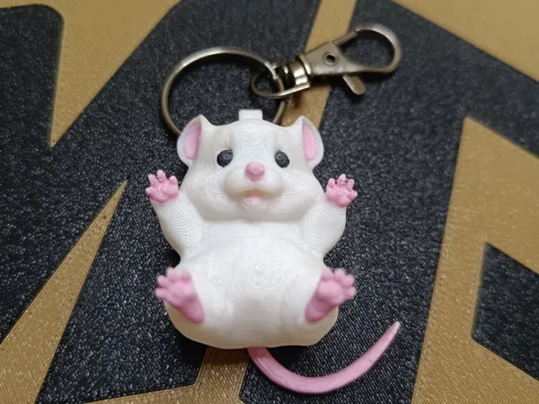 https://makerworld.bblmw.com/makerworld/model/US2e4f5bb3adabcb/design/967bb322d5b736b8.jpg