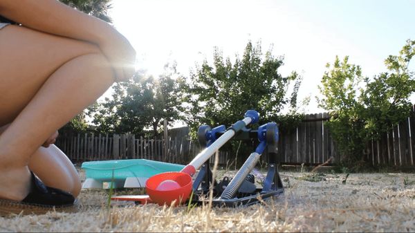 https://makerworld.bblmw.com/makerworld/model/US2e54187648ea8d/design/2024-09-05_e6b69b2c9db2.gif