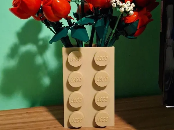 https://makerworld.bblmw.com/makerworld/model/US2e5819f05cca55/design/2025-12-27_889de79a65d168.jpeg