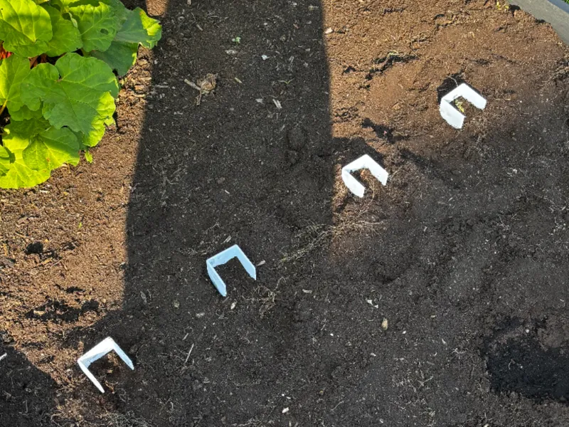 Garden Seed Locator