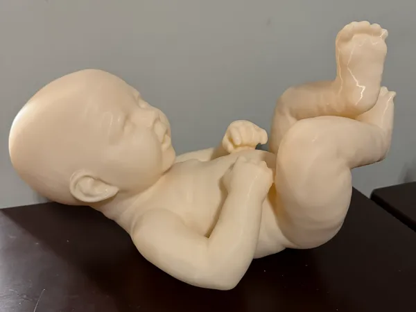 https://makerworld.bblmw.com/makerworld/model/US2e60b1ae833fa6/design/2024-09-23_126eb76a132ff.jpg