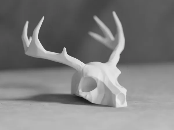 https://makerworld.bblmw.com/makerworld/model/US2e6174fa174172/design/2025-02-05_79603e2e403f2.jpg