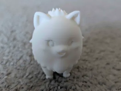 Pomeranian dog