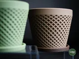 Minimalist Delta Planter with Patterned Elevated Drip Plate