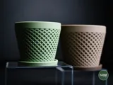 Minimalist Delta Planter with Patterned Elevated Drip Plate