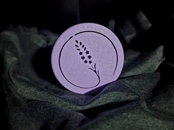 https://makerworld.bblmw.com/makerworld/model/US2e6494bb706577/design/2025-02-25_dbcd91580b02e.jpg