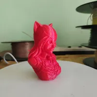 0.1mm layer, 2 walls, 15% infill