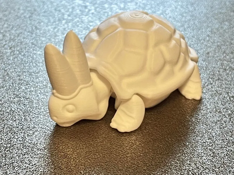 Turtle Pope