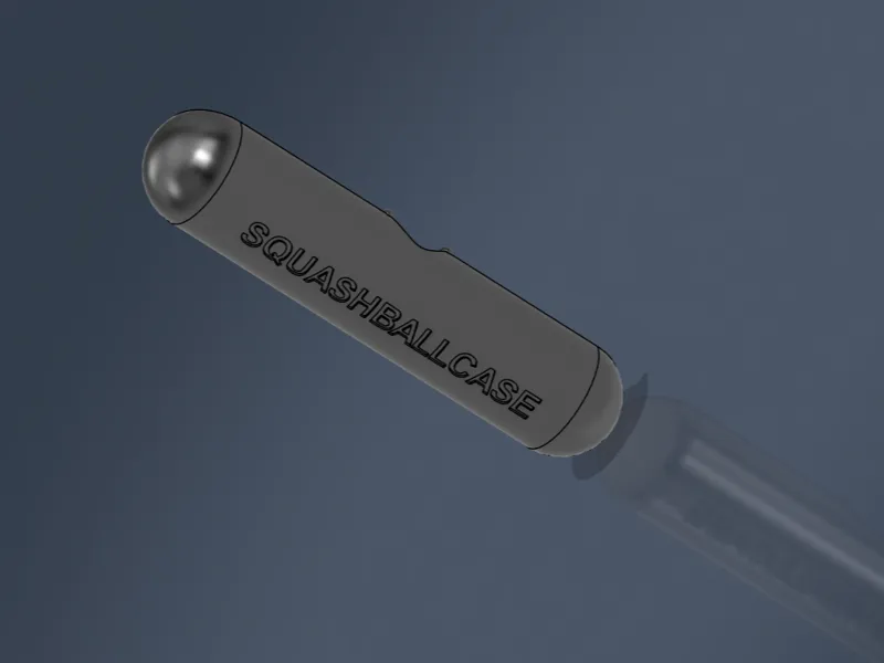 Squashballcase