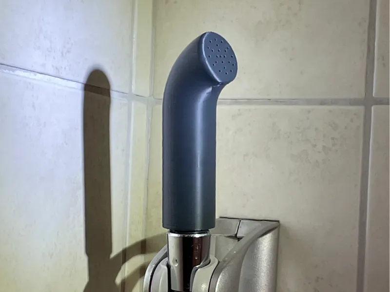 Shower head - bidet shower