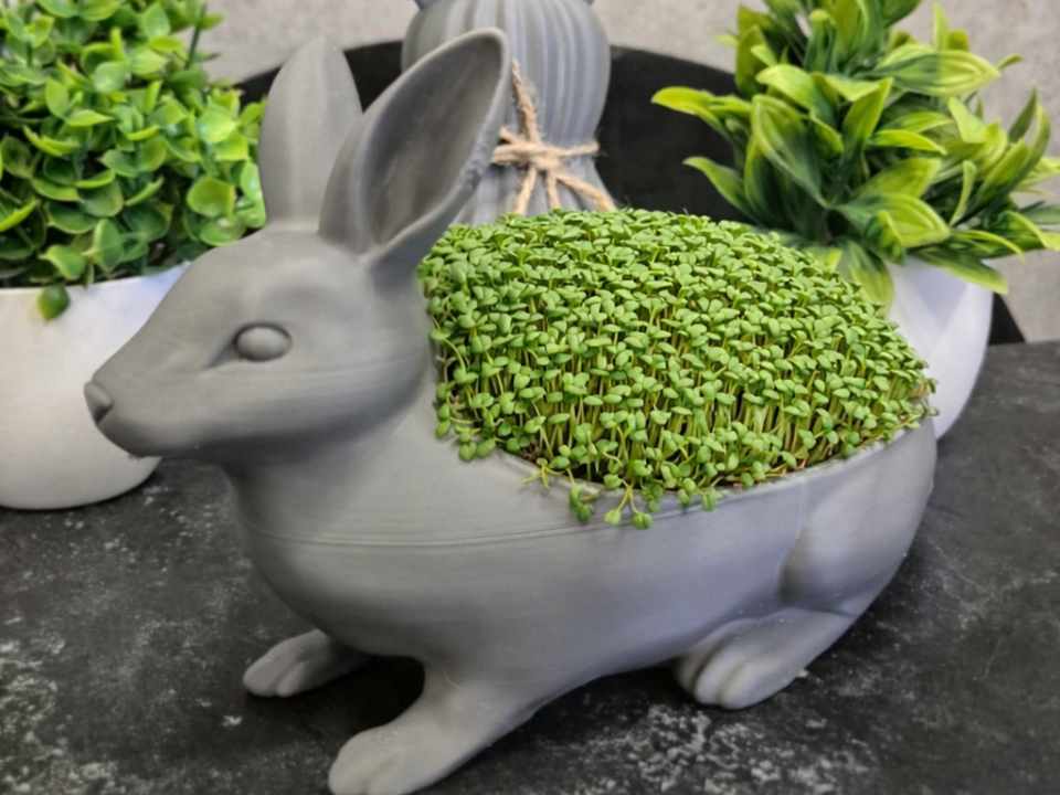 Bunny Cress Planter – Easter Growing Pot