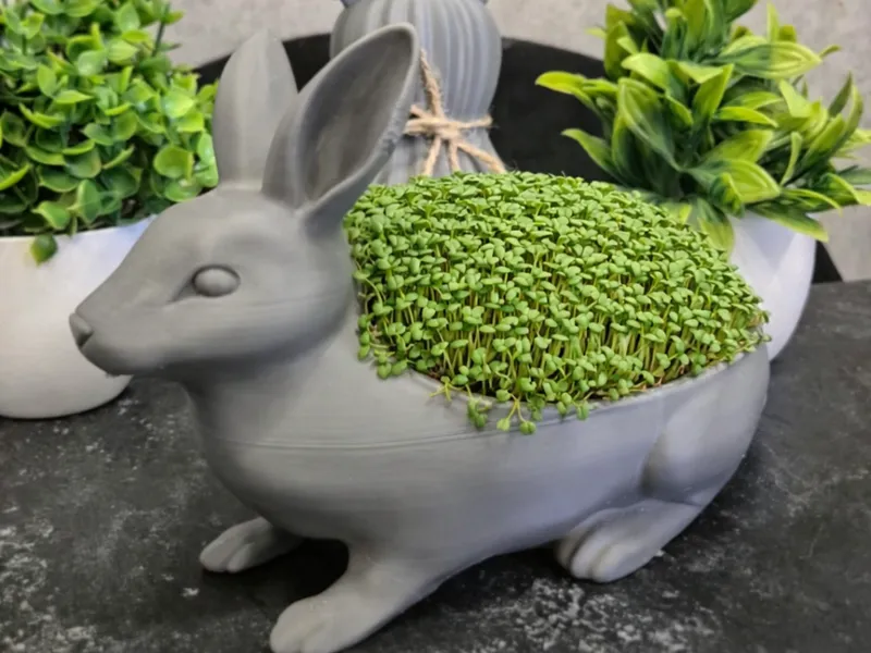 Bunny Cress Planter – Easter Growing Pot
