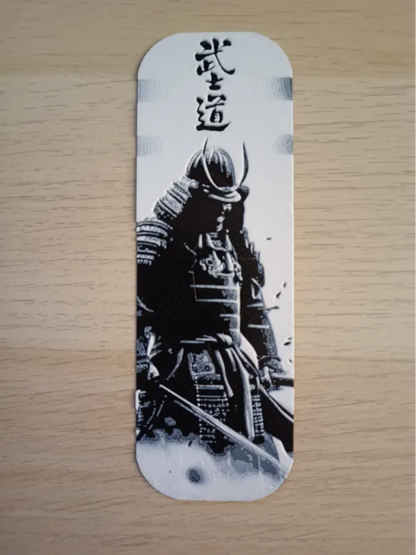 https://makerworld.bblmw.com/makerworld/model/US2e75c7fd6bc808/design/2024-11-22_336710d12cf31.jpg