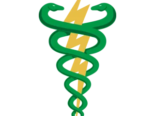 Logo Fisioterapia