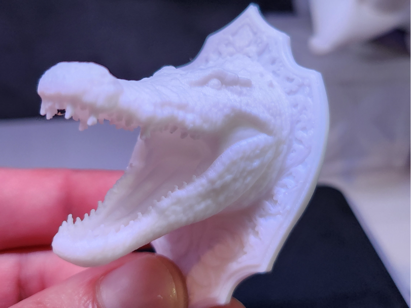 Crocodile Head Mount – Ultra Detailed Wall Trophy 