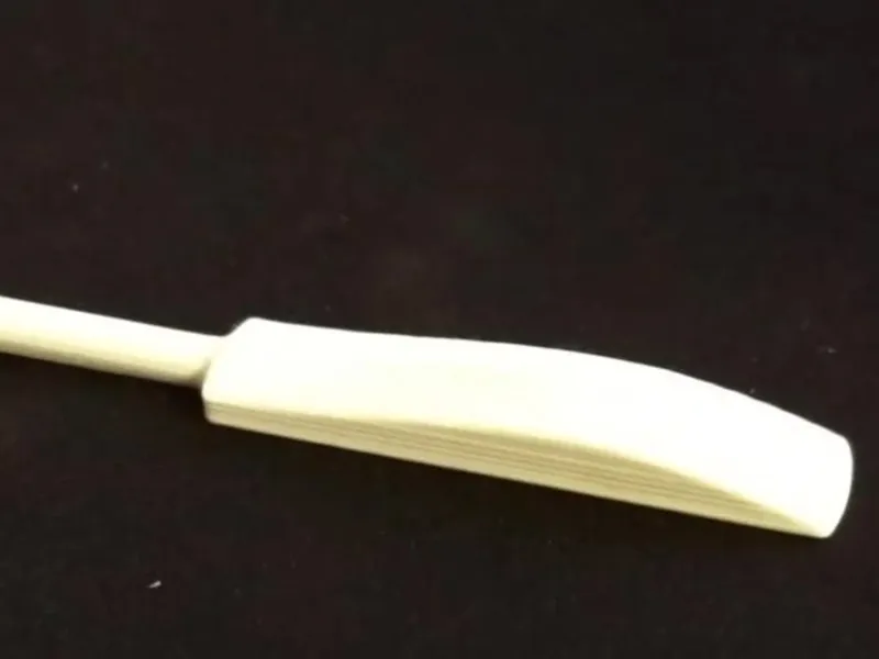 CRICKET BAT WITH KEYRING
