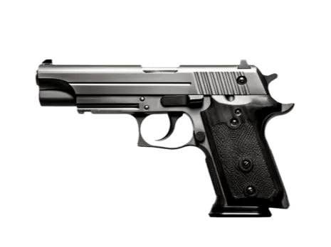 gun