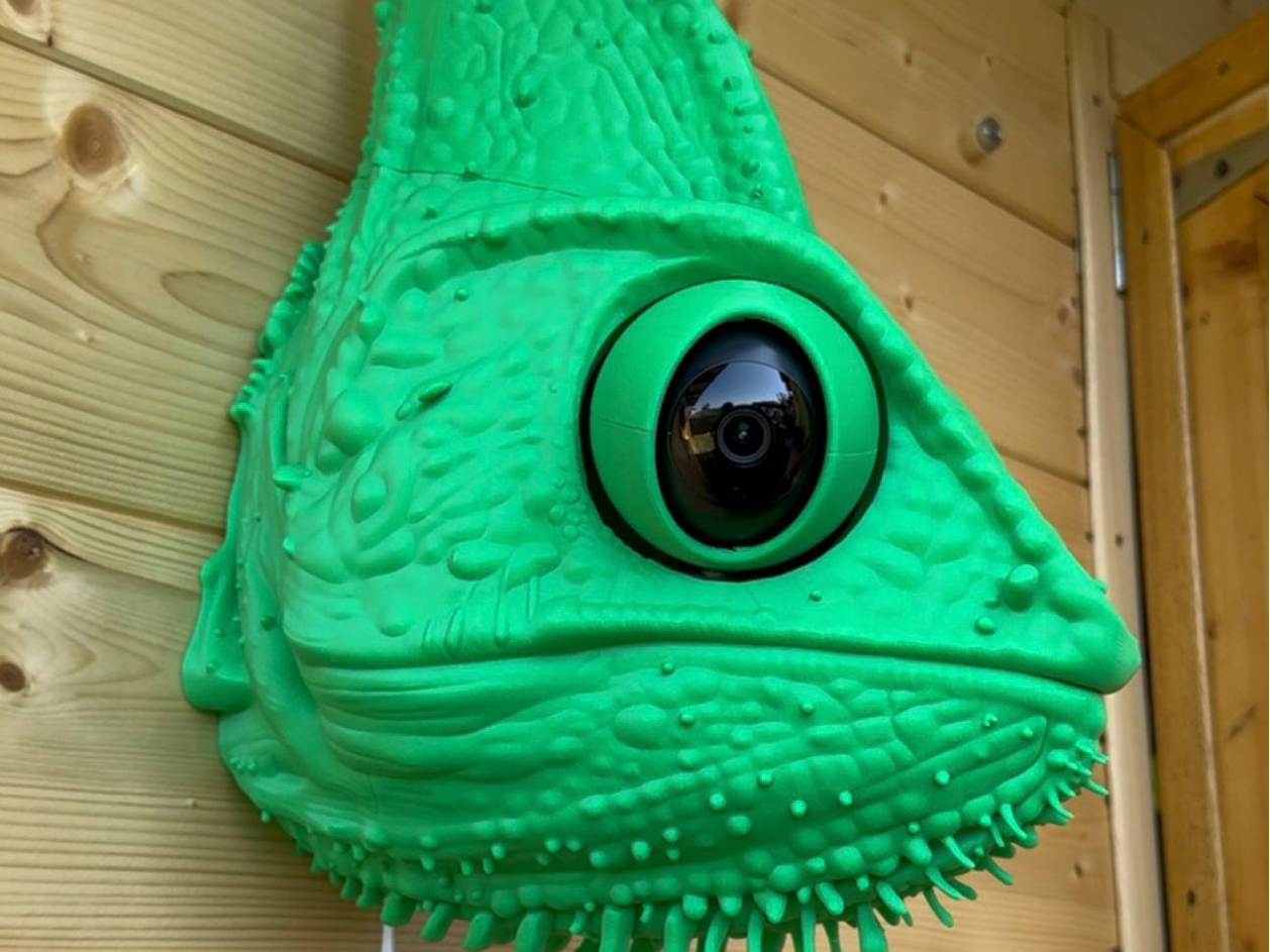 Chameleon Surveillance Camera - 1