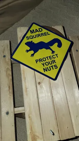 Squirrel Rave Sign Sign - mad squirrel - Free 3D Print Model - MakerWorld