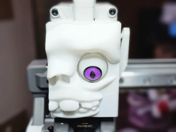 https://makerworld.bblmw.com/makerworld/model/US2e8a08dfbc03c/design/2025-03-26_9c46a223736a1.jpg