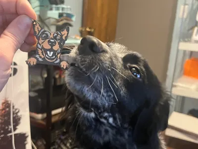 Blue Heeler Keychain