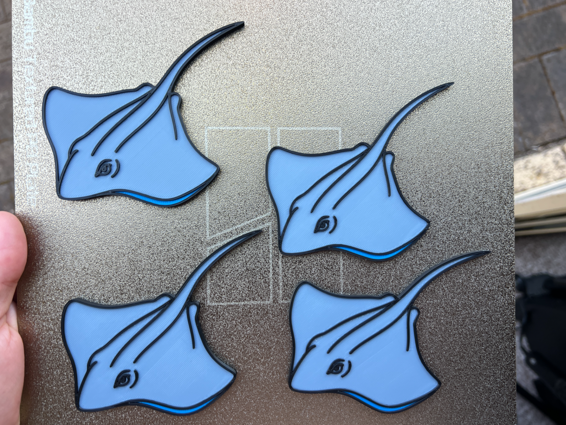 Ray Tactile Story Prop