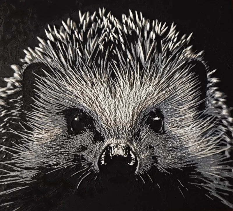 Igel - Hedgehog HueForge