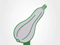 crookneck squash