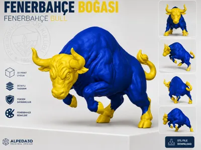 Fenerbahçe Bull Collection | AMS Multi-Color