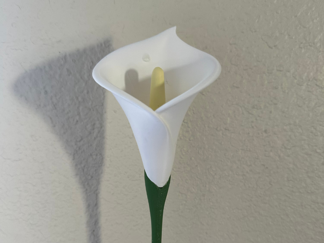 Calla Lily Flower - 2 Stem options - No AMS Needed