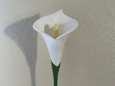 Calla Lily Flower - 2 Stem options - No AMS Needed