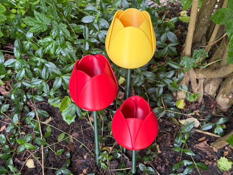 Tulip Garden Decoration