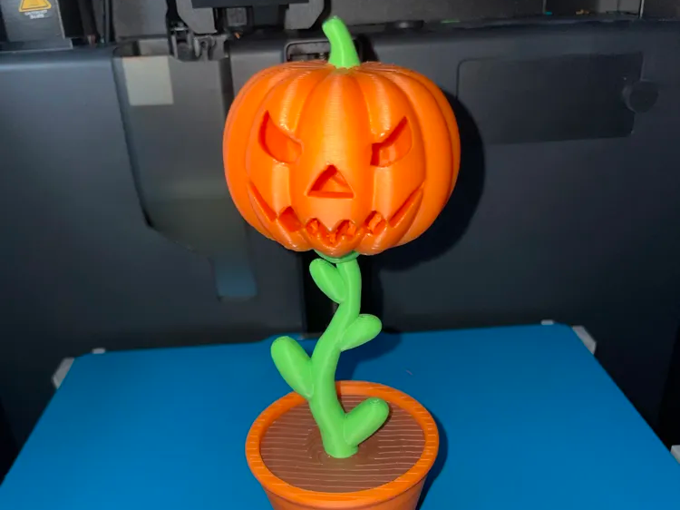 Pumpkin Flower &  Pot