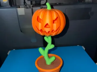 Pumpkin Flower &  Pot