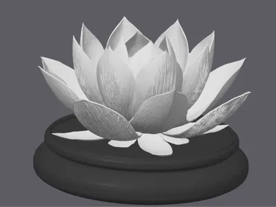 Lotus Flower