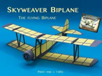 - Flying Biplane - ORIGINAL