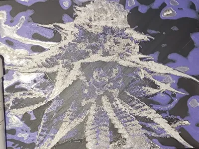 Cannabis Bud art