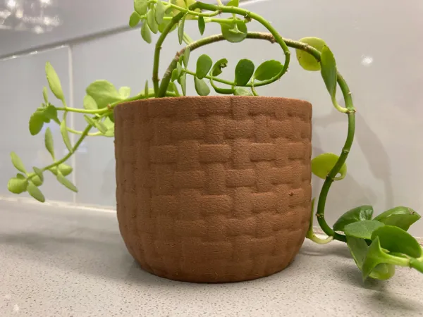 https://makerworld.bblmw.com/makerworld/model/US2ea6723d4b0069/design/2024-03-19_c1ca6ae99e799.jpg