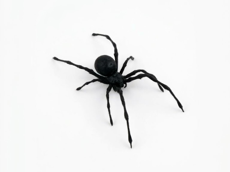 Black Widow Spider – Realistically Detailed Prank! - 1