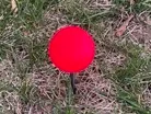 Martini style golf tee