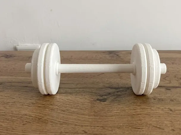 Straight Barbell - Decorative Fitness Model
