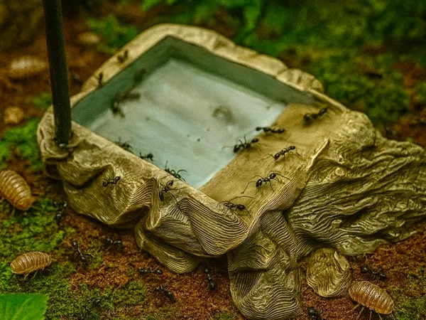 https://makerworld.bblmw.com/makerworld/model/US2ead1fc8b16395/design/2025-08-19_e99af58e6158d.jpeg