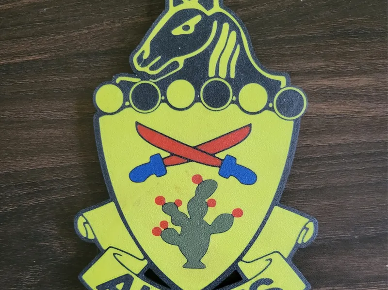 Allons !!! 11th Armored Cavalry Regiment dui