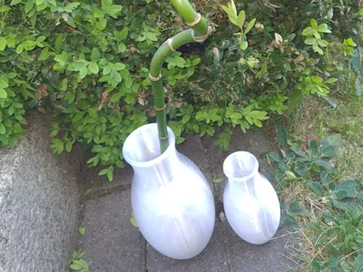 PETG Vase