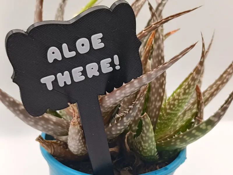 Aloe There Plant Sign